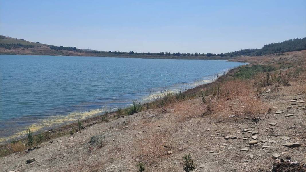 Yerin altı üstüne çıktı! O ilimizde korku büyüyor, aniden gün yüzüne çıkıverdiler 11